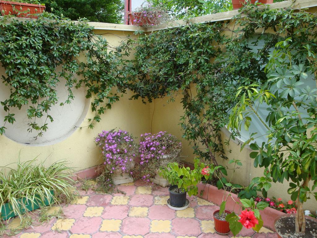 Stela Guest House Tsarevo Quarto foto