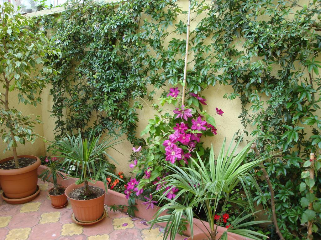 Stela Guest House Tsarevo Exterior foto